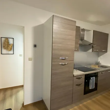 D-012 Bel Et Balcon Climatise Parking Prive Gratuit Sur Demande Charleroi