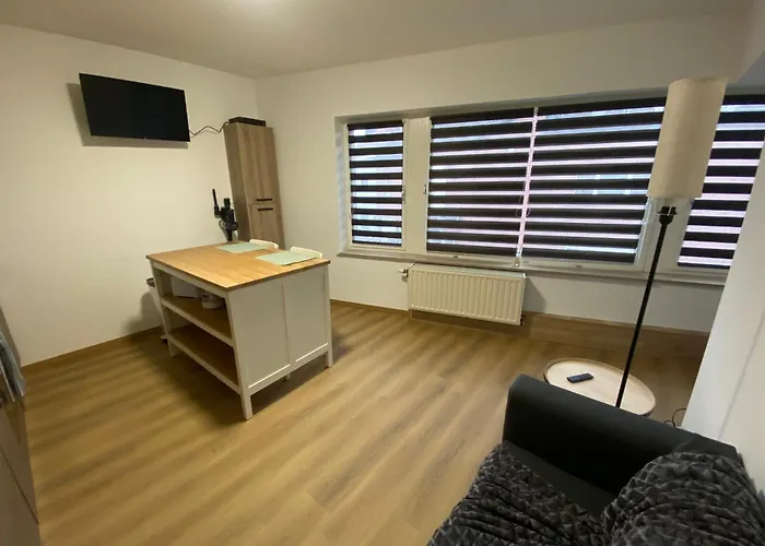 Appartement D-012 Bel Et Balcon Climatise Parking Prive Gratuit Sur Demande Charleroi