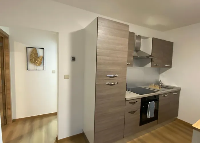 D-012 Bel Et Balcon Climatise Parking Prive Gratuit Sur Demande Charleroi