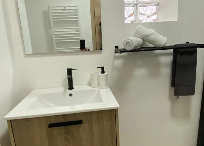 D-012 Bel Et Balcon Climatise Parking Prive Gratuit Sur Demande * Charleroi