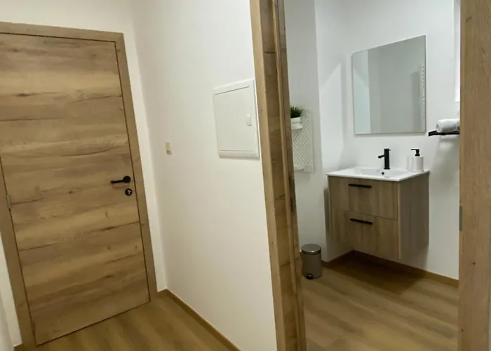 D-012 Bel Et Balcon Climatise Parking Prive Gratuit Sur Demande * Charleroi